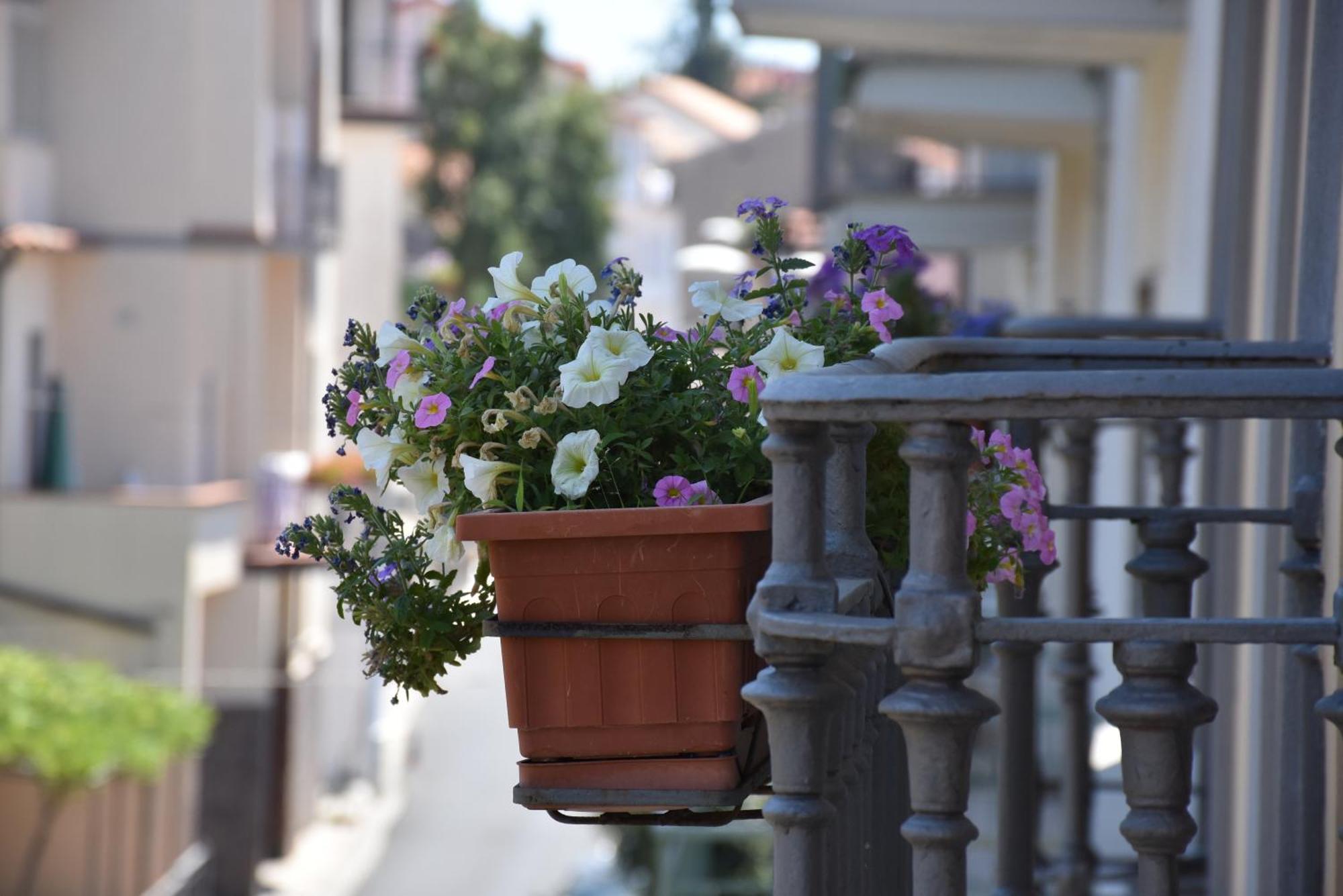 Hotel Risorgimento Agerola Luaran gambar